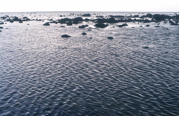 Preview_Img22982_1