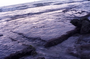 Preview_Img23038