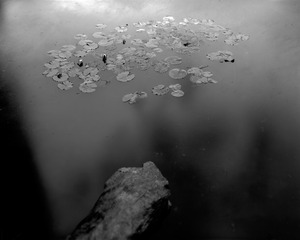 Zhou_Yang_12