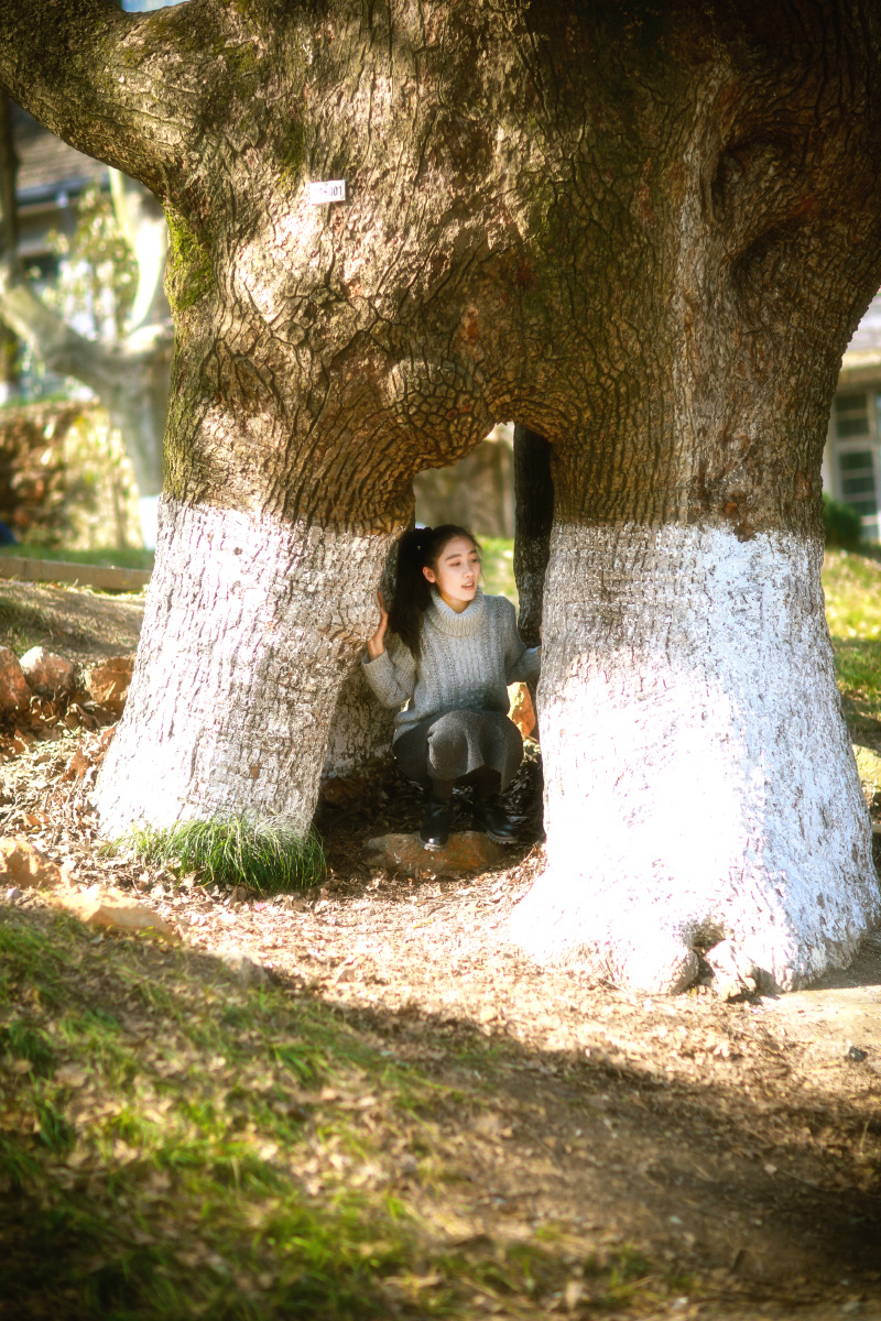 森屿暖树 - 南音_naive - 图虫网 - 最好的摄影师都在这