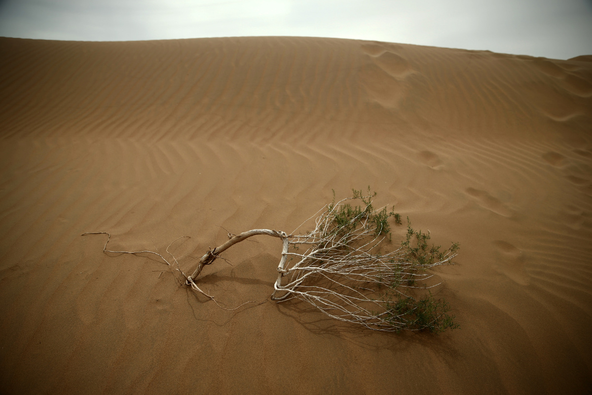 2015年7月2日,内蒙腾格里沙漠,干旱的荒漠