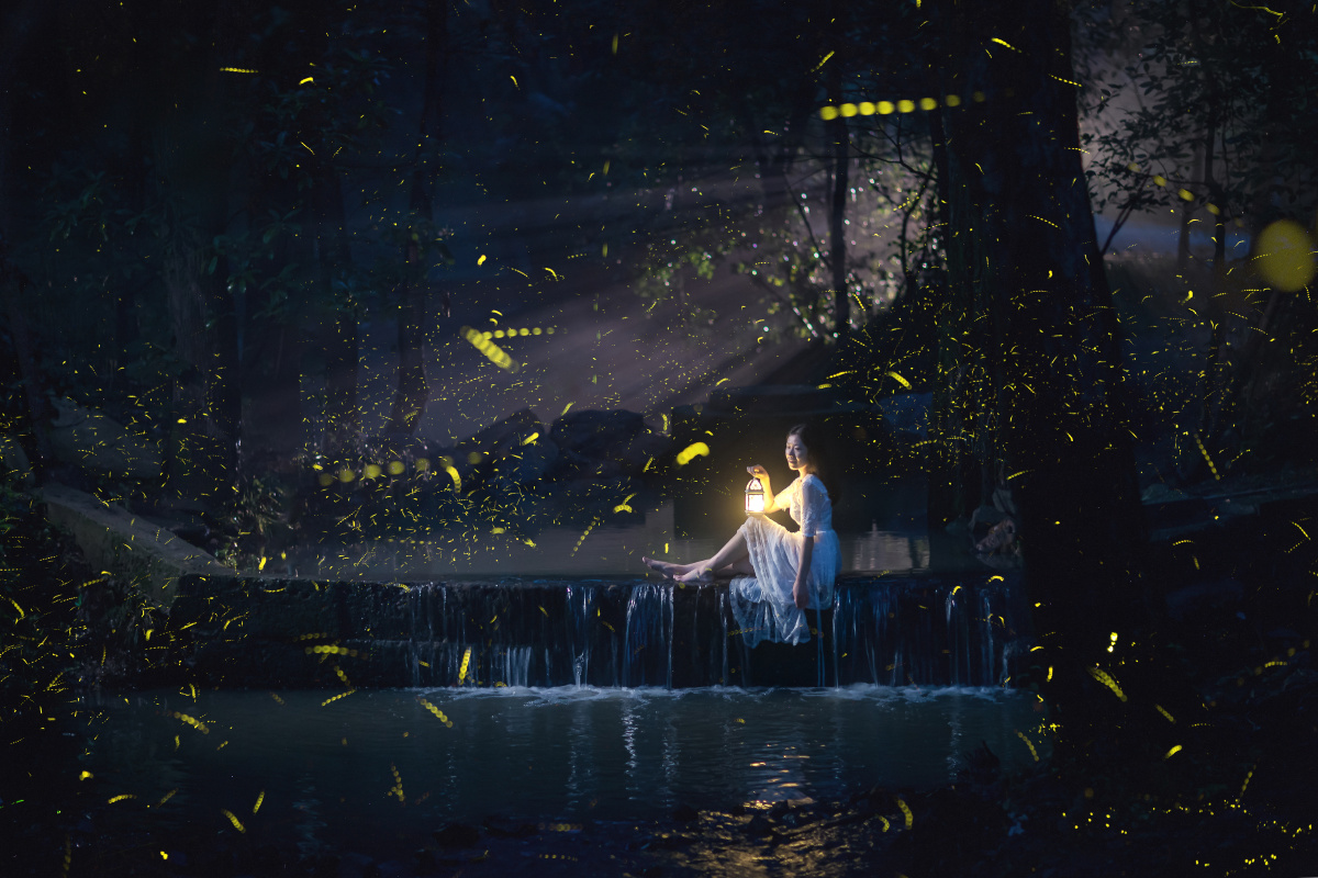 萤火虫人像