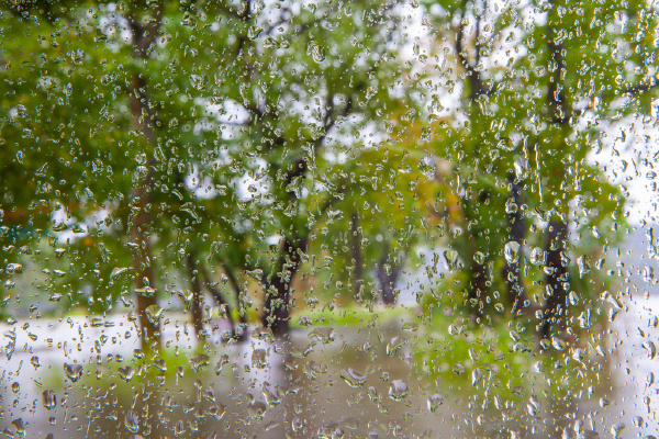只待金陵烟雨时邀君共赏西窗雨第一辑