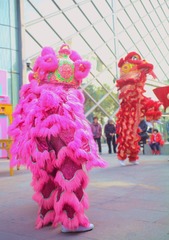 IMG_0011_