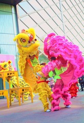IMG_0010_
