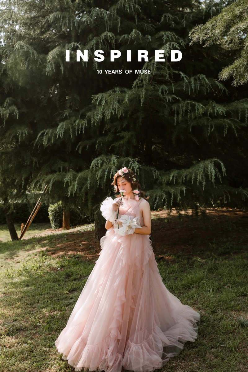 蝴蝶树婚纱摄影