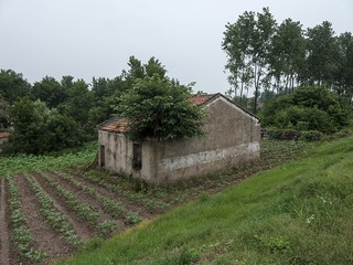 184325