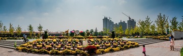 _IGP2529