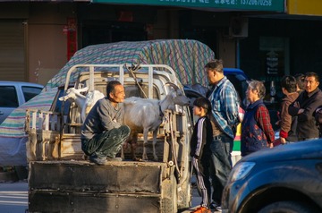 _SWT7039