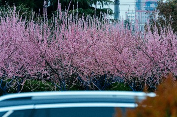 想 (20)