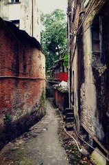 DSC02481_