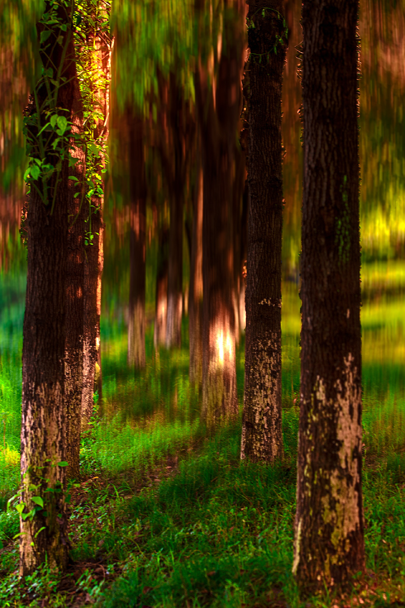 800_1200竖版 竖屏