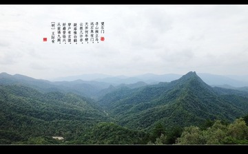 DSC03134_
