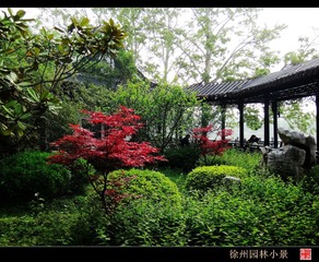 DSC00767_
