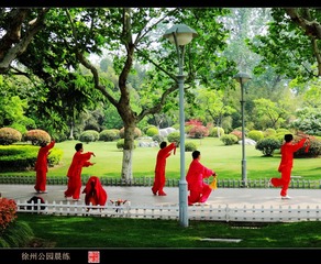 DSC00784_