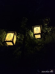 1000238163