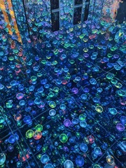 1000230806