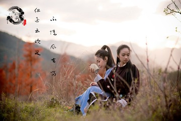 279ZI5
