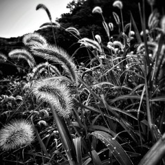 IMG_20160121_133058
