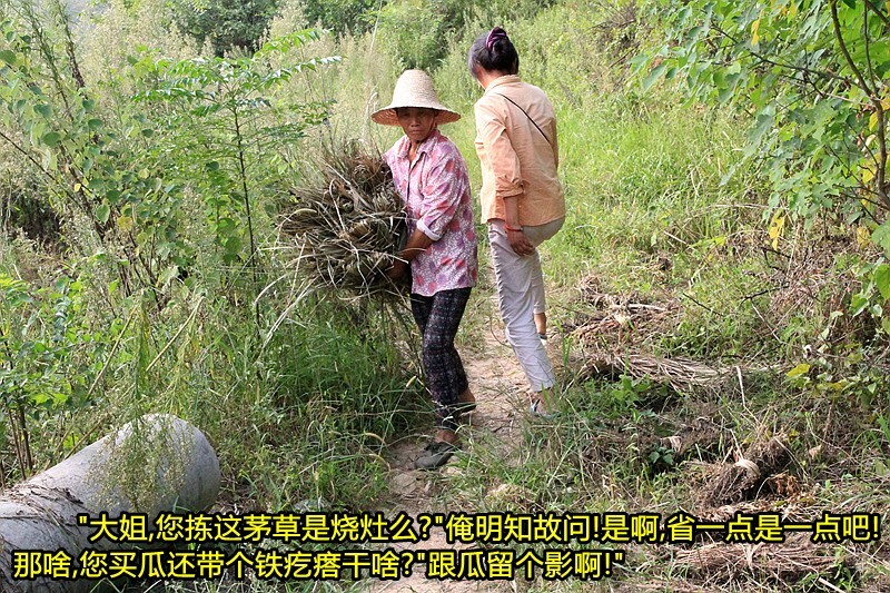 开农村不起眼商机不妨多准备一些赚钱好地方