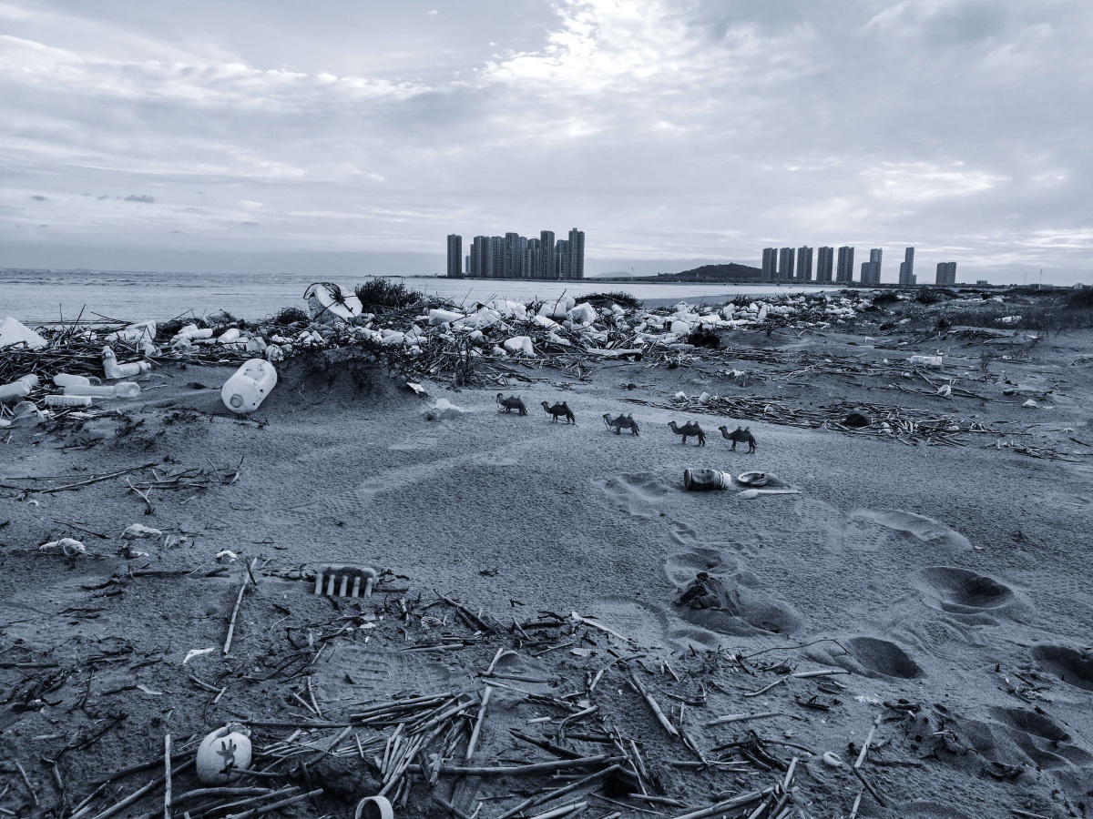 海边的垃圾严重破坏了生态环境.