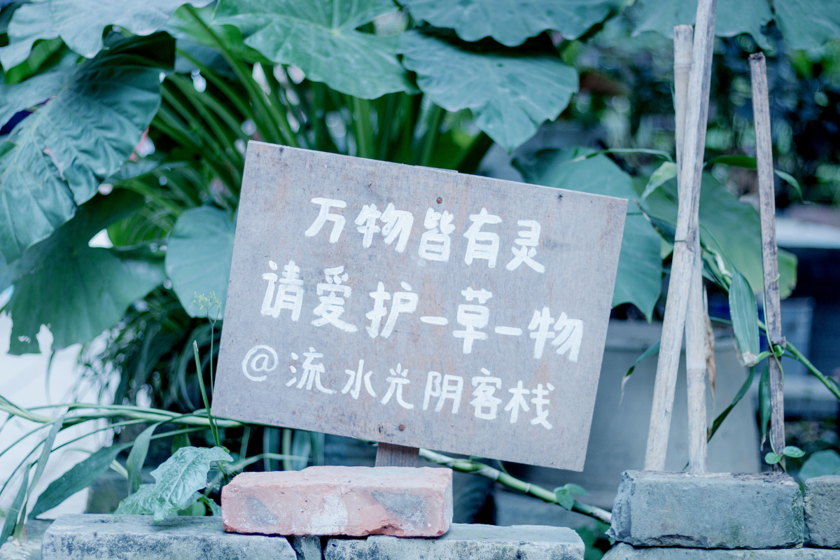 珍惜我们身边的一切  因为它们随时都会离我们而去<br />
不是吗