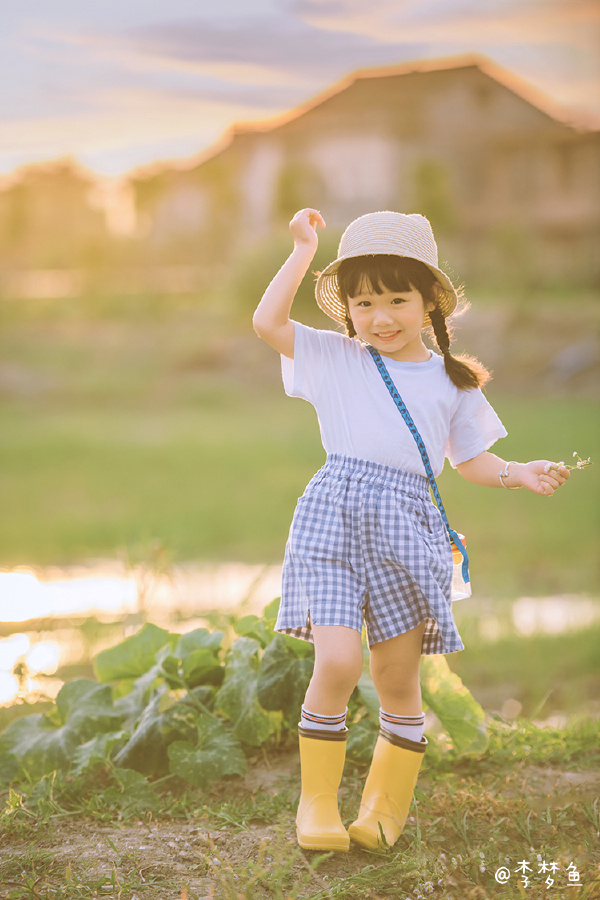 梦鱼 夏日帐 续 腰果虾仁