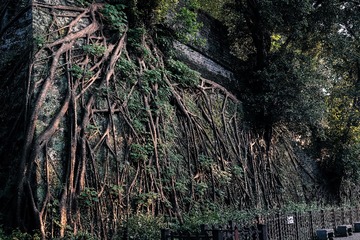 DSCF0505lr