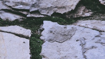 6AD2B5D4-61D3-40E4-81CF-7E22E2D1F8D1/L0/001