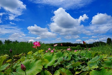 20150712