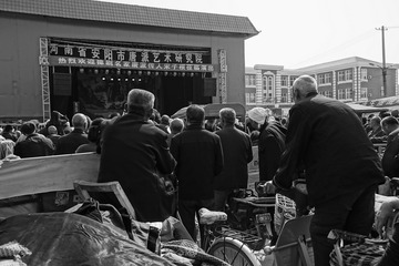 DSC08356f