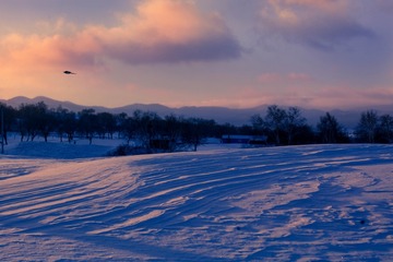 雪影