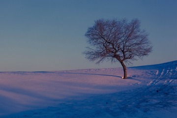 雪影（二）