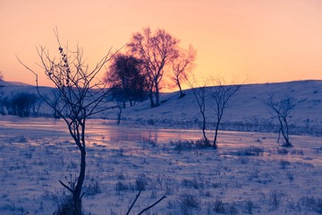 雪影（四）