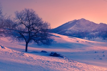 雪影（二）