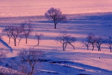 雪影（四）