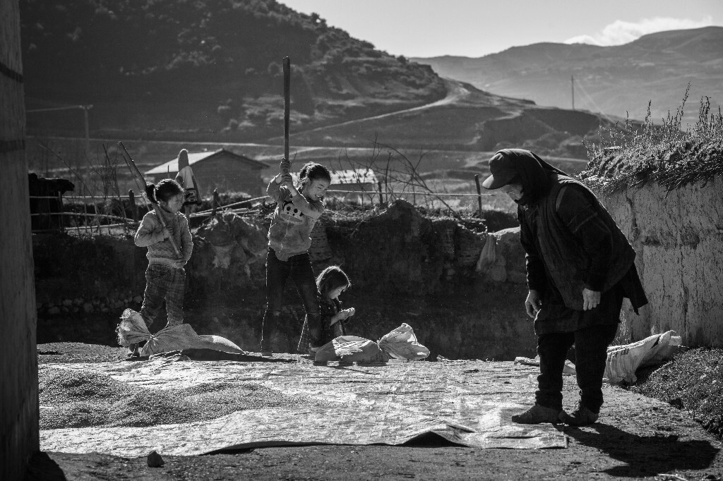 《帮妈妈打稻谷》---2015.11.13摄于四川大凉山布拖火烈乡,孩子们在地上放了几个稻谷口袋,他们拿着棒槌对着口袋一个劲的捶打,将谷皮打掉,看到孩子们干着与小小年龄不符的农活,非常心疼。