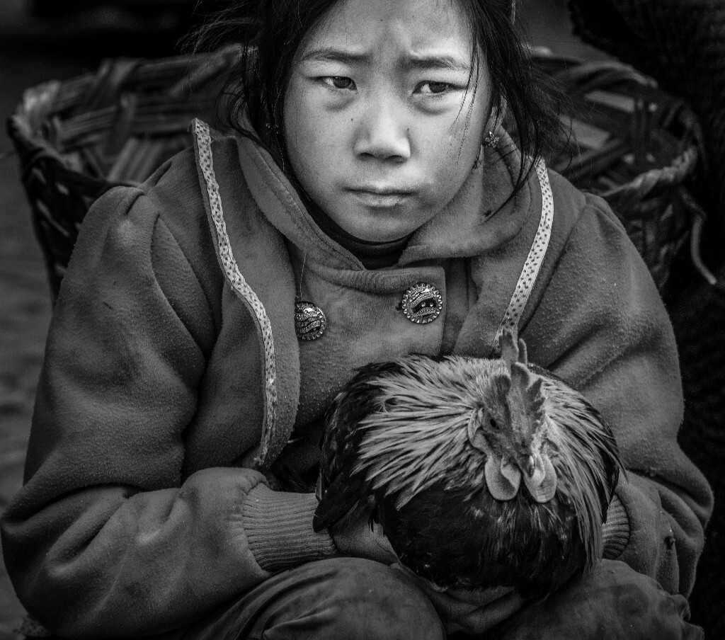 《卖鸡过大年》---2015.11.15摄于四川大凉山布拖县,快过年了赶集的人很多,这位女童为了过年,冒着寒风把家里的鸡拿来卖,苦苦地等待只是为了换几个钱过年。希望社会多多关注这里的孩子。