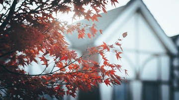 AA14B7D6-5A74-448D-9BC0-BE8B4853ADF8/L0/001
