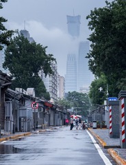雨中