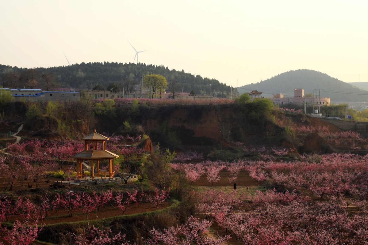 山东,肥城《七彩桃花源》