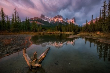 _DSC4336 - 