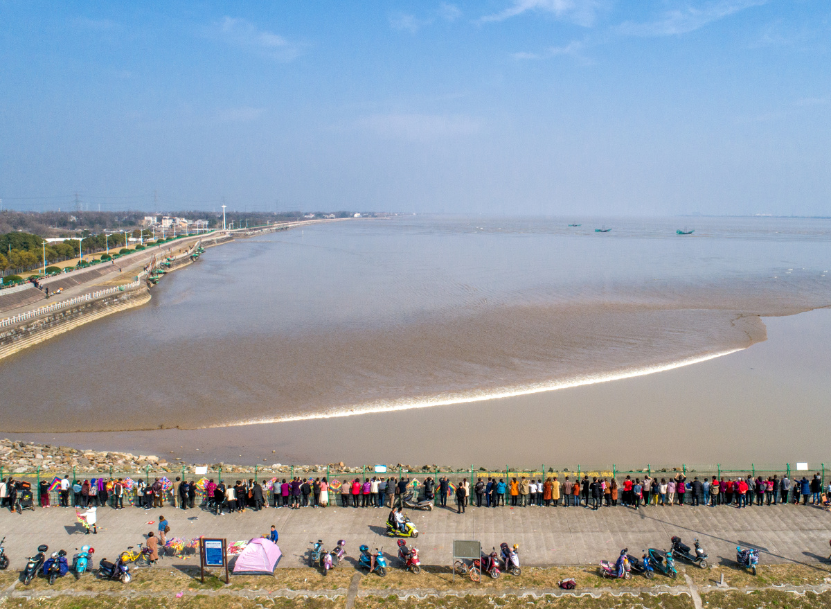 正月初二,在钱塘江海宁老盐仓等待回头潮的到来.