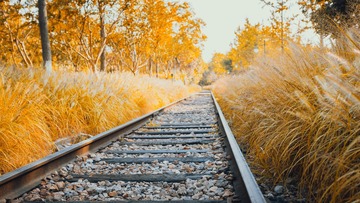 29066
