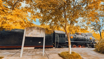 29055