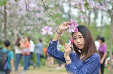 mac20160409n 846