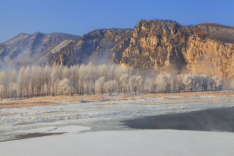 初春- 东北老头 - 图虫