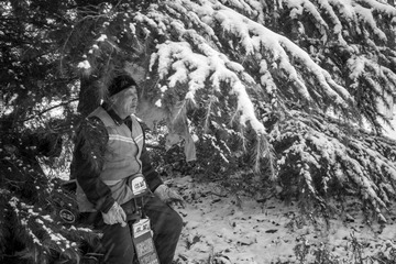 《大雪枫树林》2