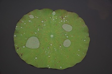 187159