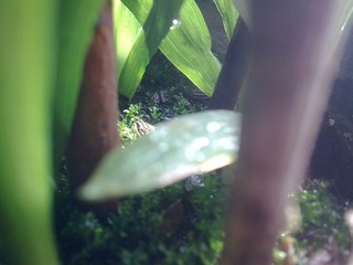 201302225220